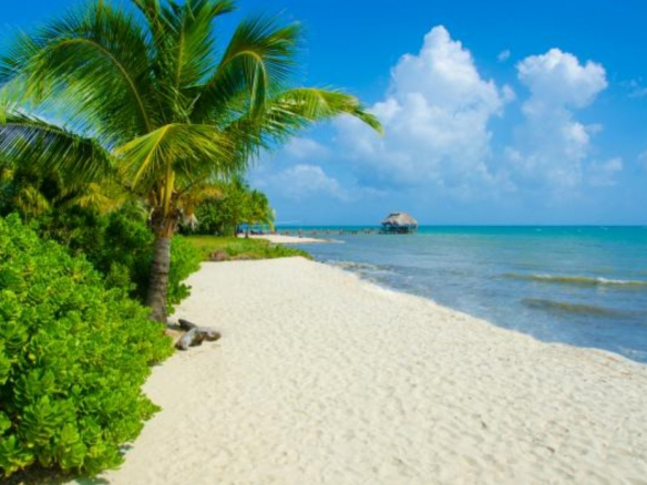 belize beach front real estate