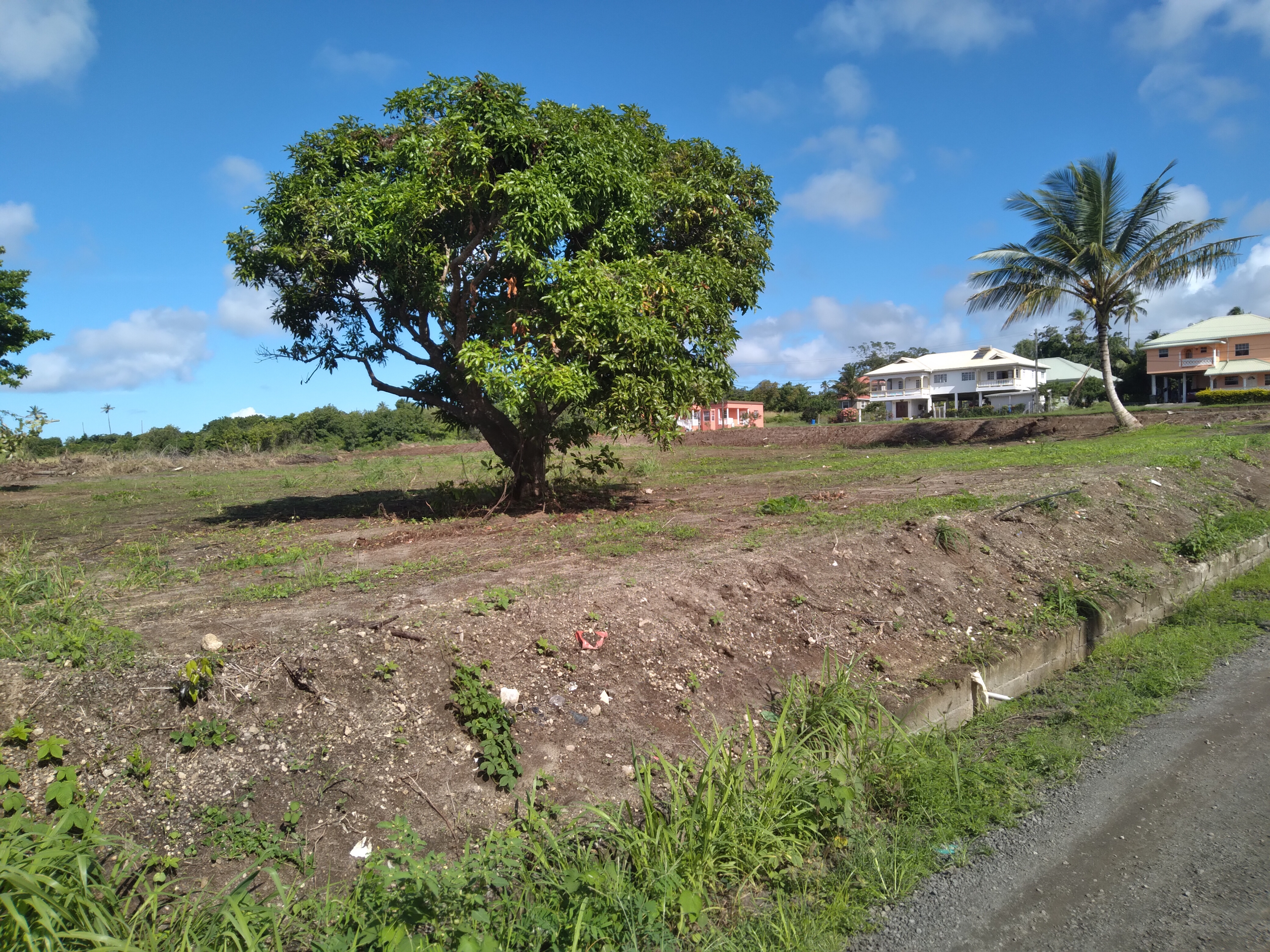 open flat land for sale in st lucia