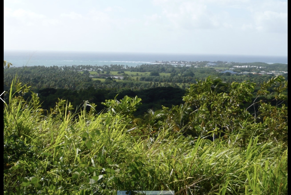 Prime undeveloped land, near Riseland in Tobago
