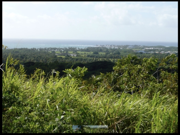 Prime undeveloped land, near Riseland in Tobago