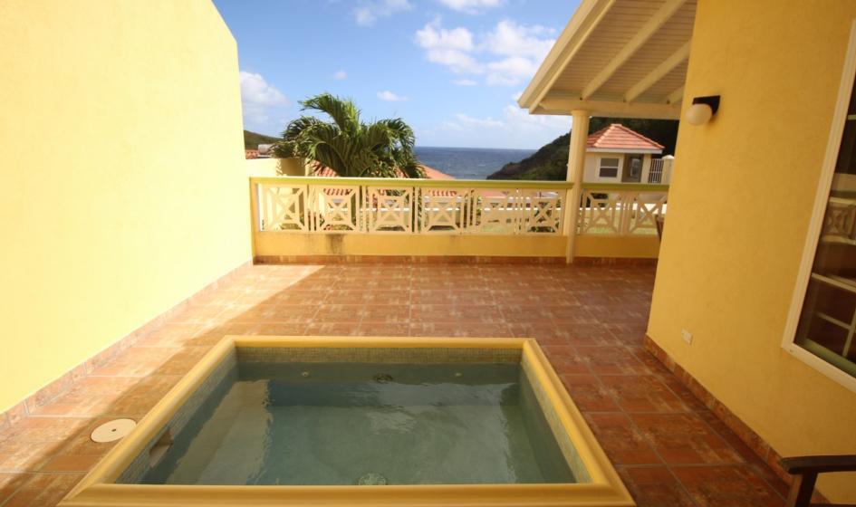 Caribbean Property Search terms and Conditions