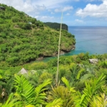Villa Trou Rolland Marigot St Lucia