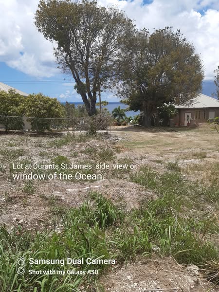pic of Lot at Durants St James.jpg 4