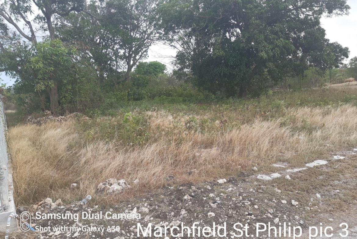 pic of Lot at Marchfield 4