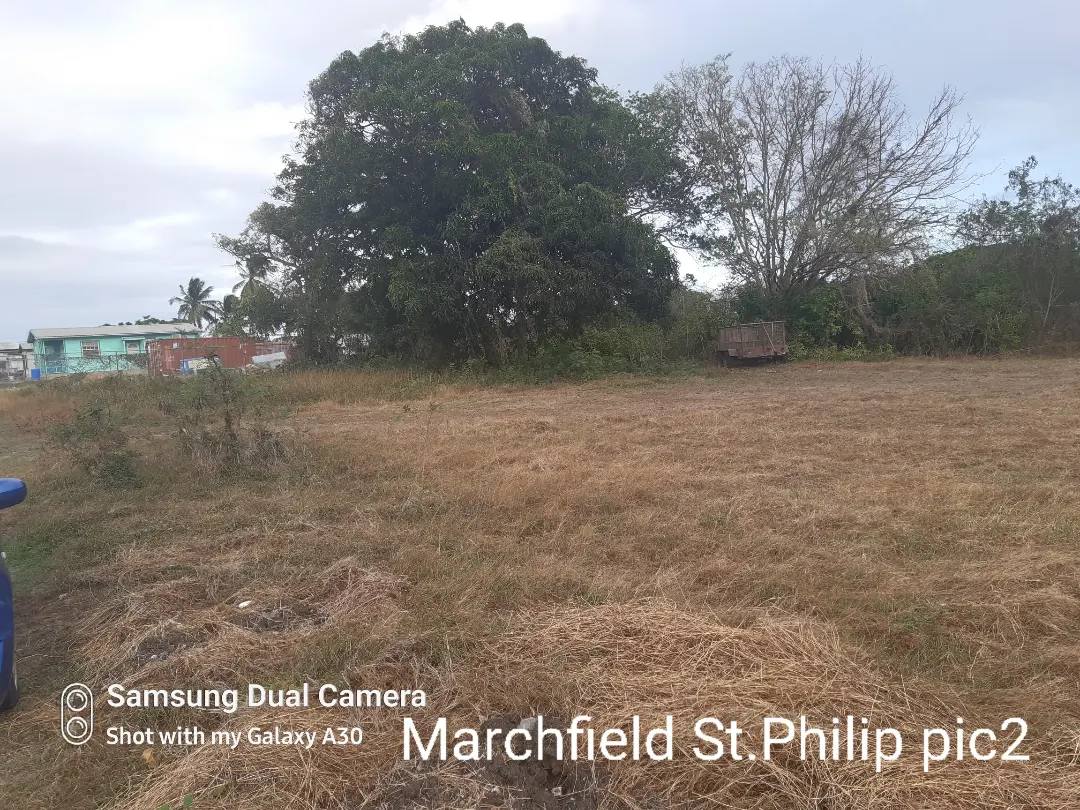 pic of Lot at Marchfield 5
