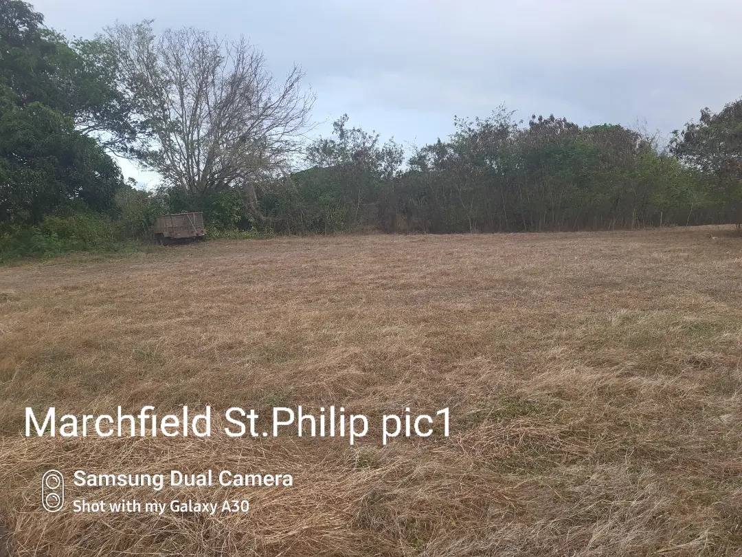 pic of Lot at Marchfield 6